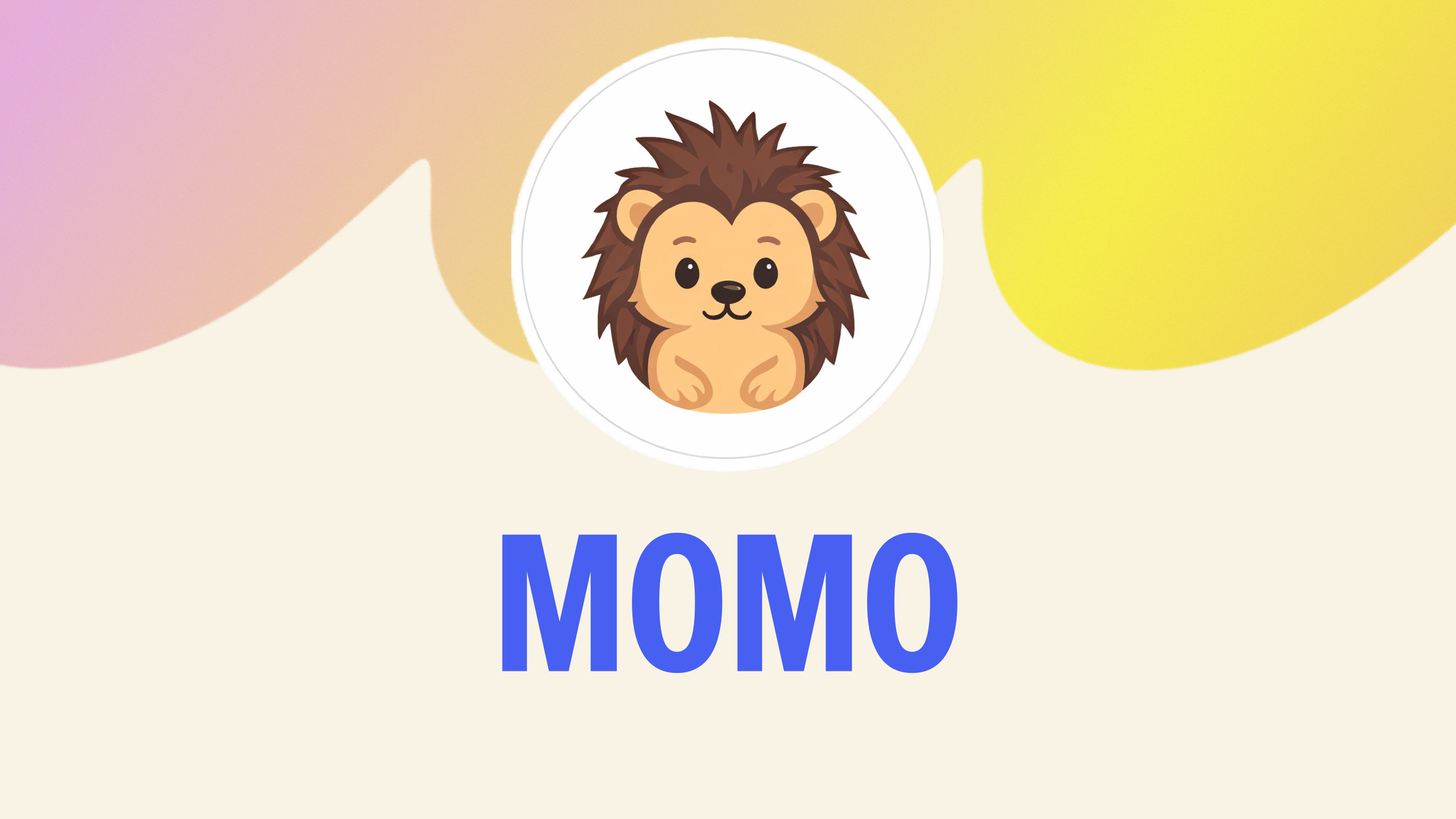 Omslagsbild från Momo-presentationen