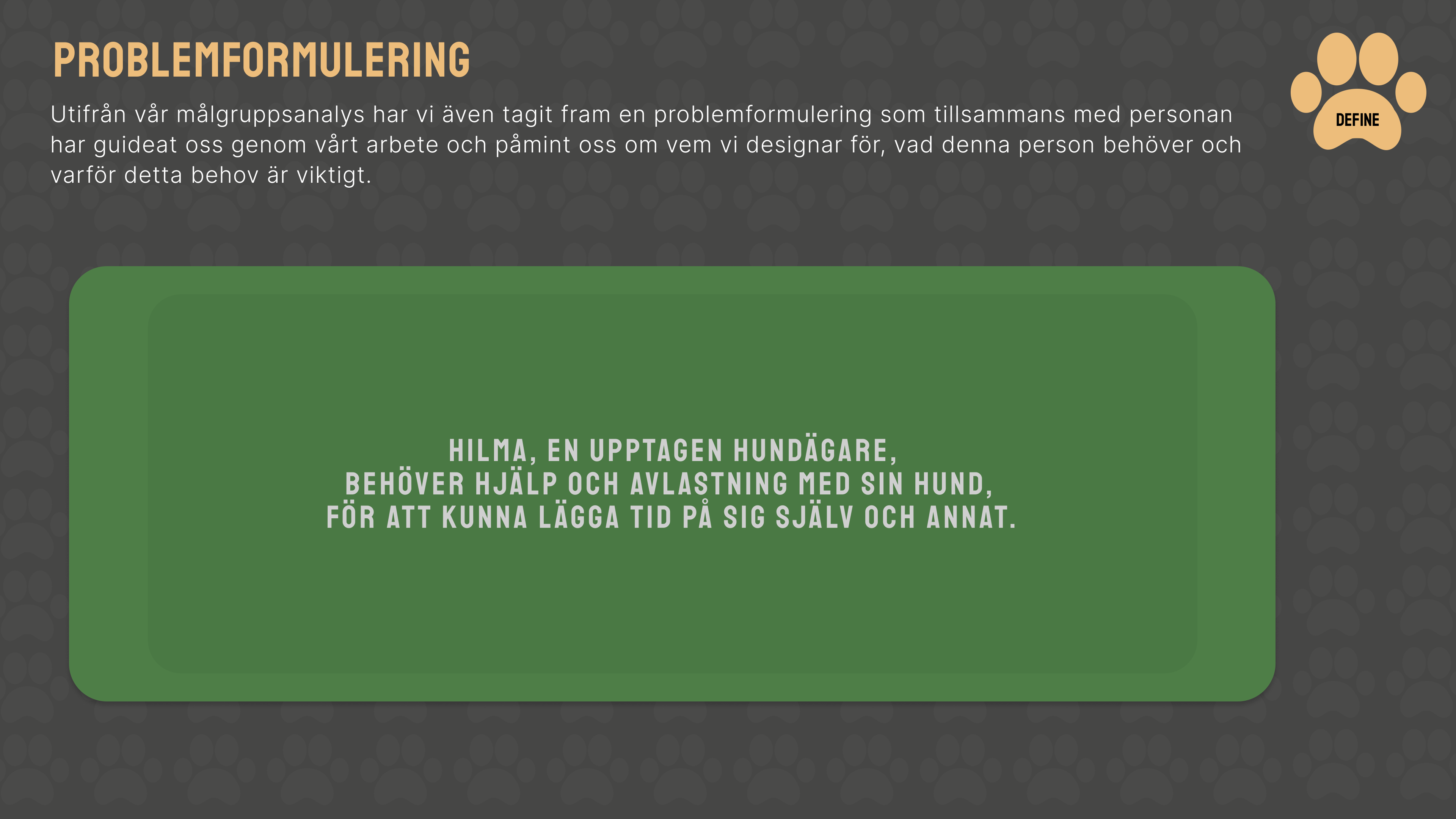 Problemformulering från projektets presentation